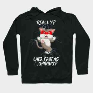 Kung Fu Cat! Hoodie